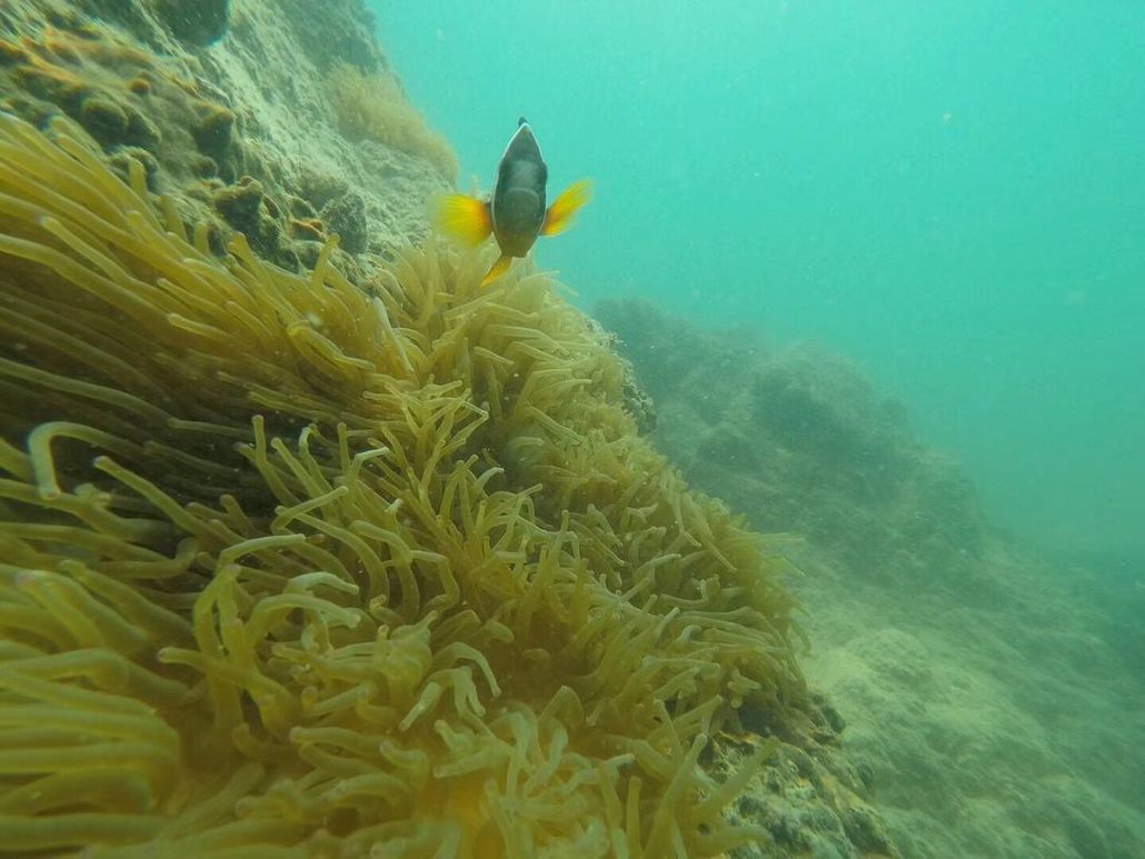 浪漫双月湾飞艇登岛浮潜深潜沙滩烧烤篝火浪漫交友