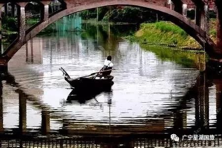 Ʒ��ɽʮ����ʳ���໨�ɴ�����(6�����ڣ�