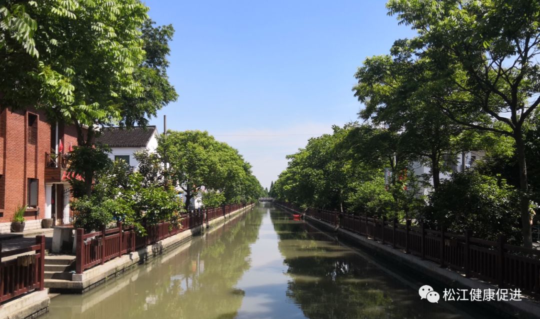 现场来到了上海市级美丽乡村南杨村,黄家埭村健康药草园,并详细了解了