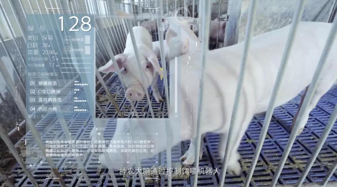 京东经济总量_京东logo图片(2)