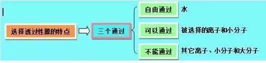 2019昆十中云天化高三5月联考各科试题及答案汇总 附知识点
                
                