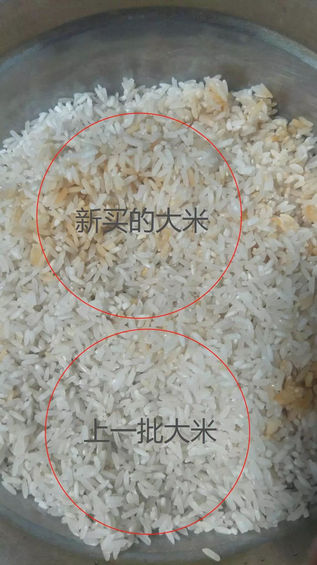 同一价格,不同批次的大米,l小姐上一次买的大米反而颜色更白