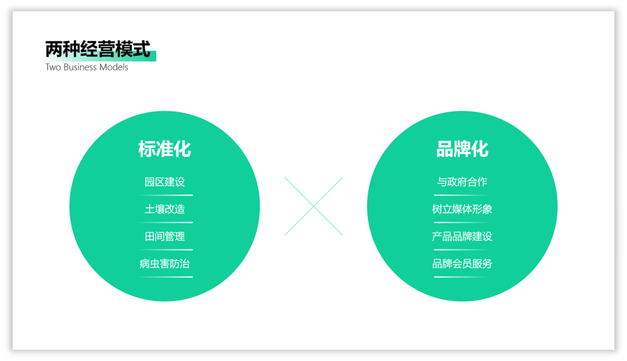 圆形式版式设计图片