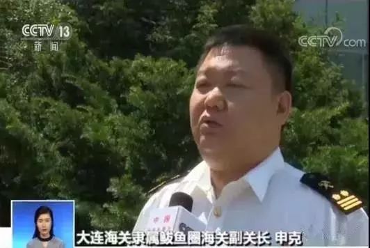 从哪儿来回哪去!28集装箱,600多吨货柜垃圾! mg电子助手app