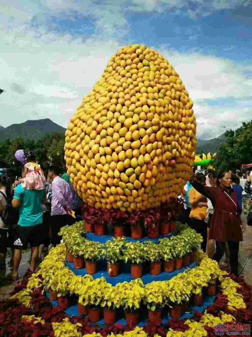 体育 正文  重点来了!