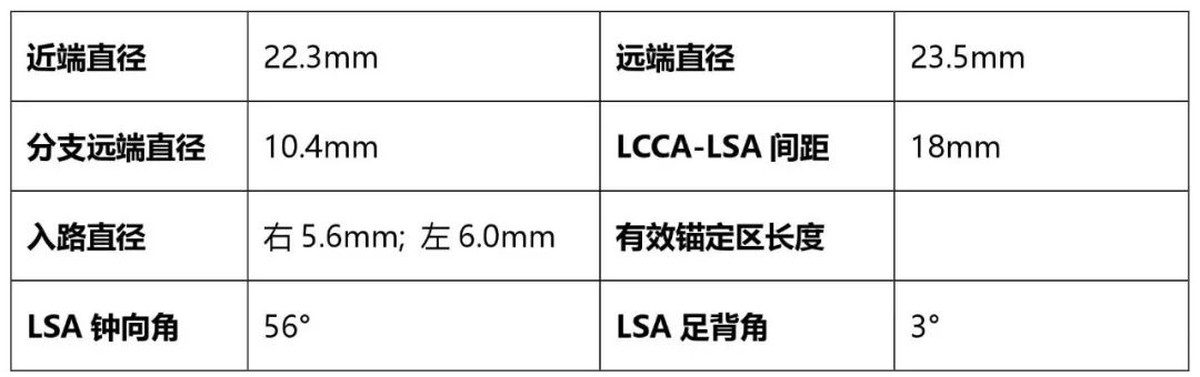 术前评估综上,选择castor03分支型覆膜支架重建左锁骨下动脉是最优