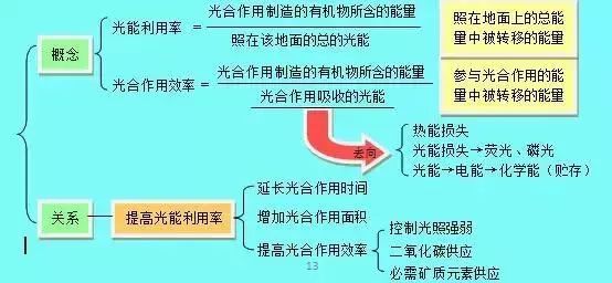 2019昆十中云天化高三5月联考各科试题及答案汇总 附知识点
                
                