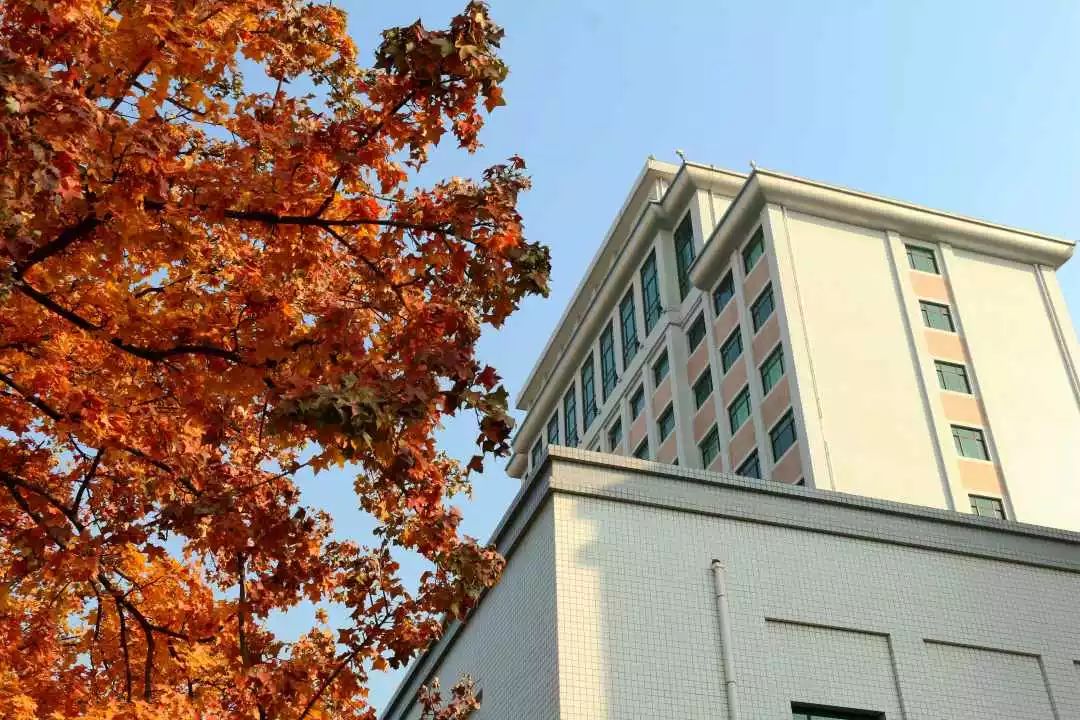 中央财经大学研究生_中央财经大学财税学院导师