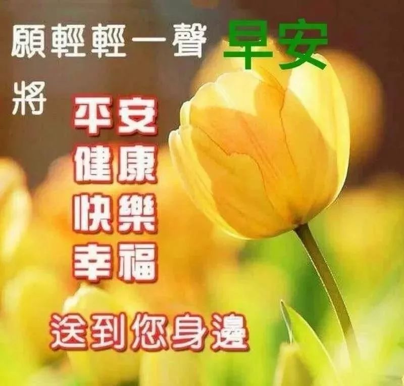 峿ȺϺףͼƬʻ ܰ簲ʺףͼƬ