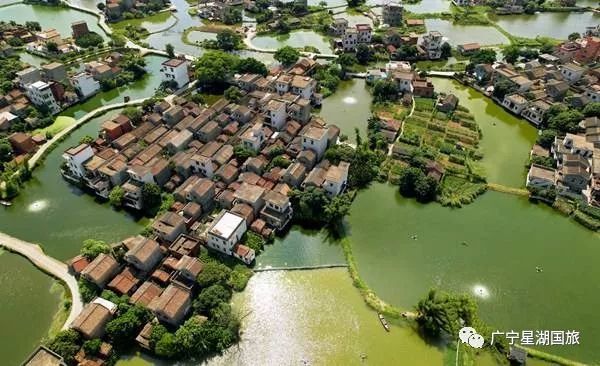 Ʒ��ɽʮ����ʳ���໨�ɴ�����(6�����ڣ�