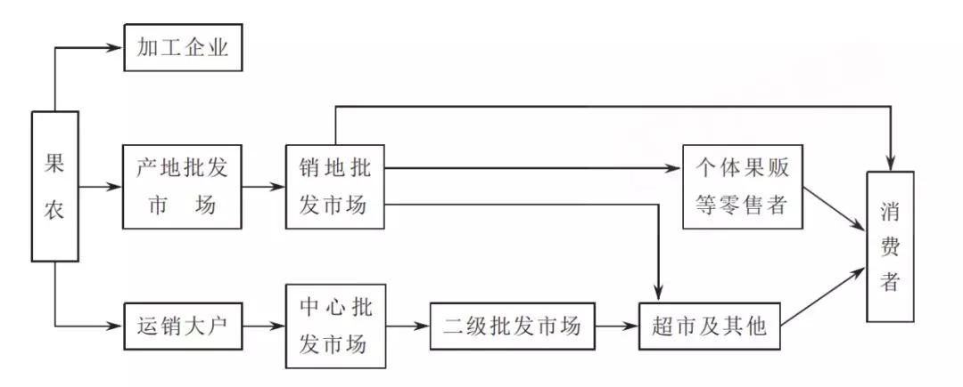 数据来源:《中国水果产业链分析》,万方数据3.