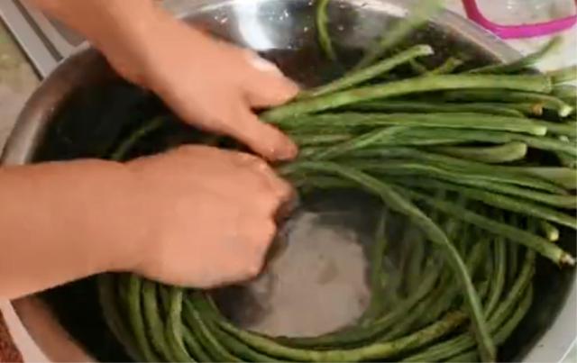 豆角怎么种才能长得好 95928679433e45578e01b3210222e05e.jpeg
