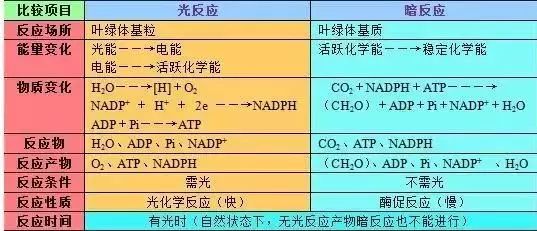 2019昆十中云天化高三5月联考各科试题及答案汇总 附知识点
                
                