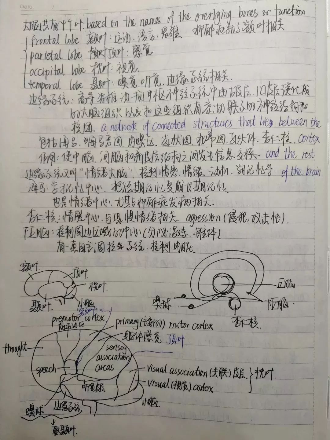 清华学霸的笔记服了咱也看不懂咱也不敢问