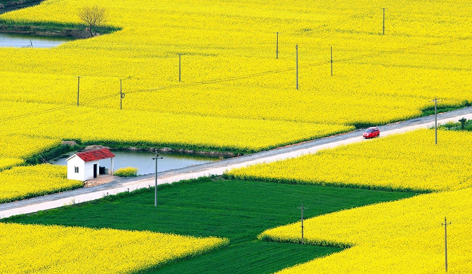 树铭旅游江西婺源油菜花