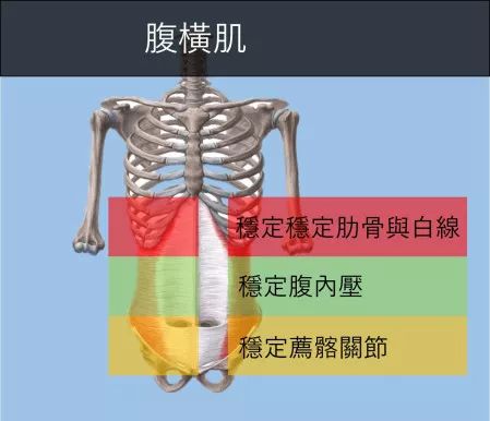 哪种坐姿会让你一小时就核心无力?