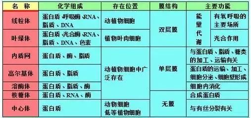 2019昆十中云天化高三5月联考各科试题及答案汇总 附知识点
                
                