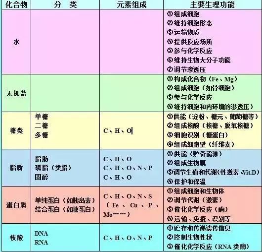 2019昆十中云天化高三5月联考各科试题及答案汇总 附知识点
                
                