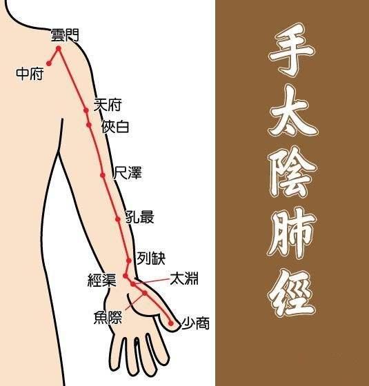 13条人体养生经脉详解教你打通任督二脉