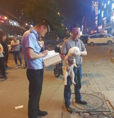 犬类整治开展一个多月!太原责令整改通知书下发534份! 久久草色播