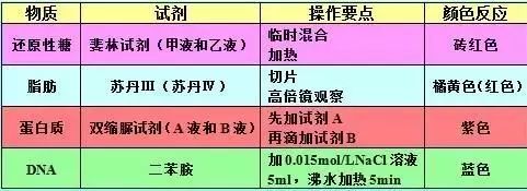 2019昆十中云天化高三5月联考各科试题及答案汇总 附知识点
                
                