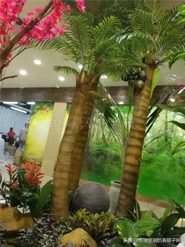 圣缘景观仿真椰子树椰风伴海韵琼崖尽是春