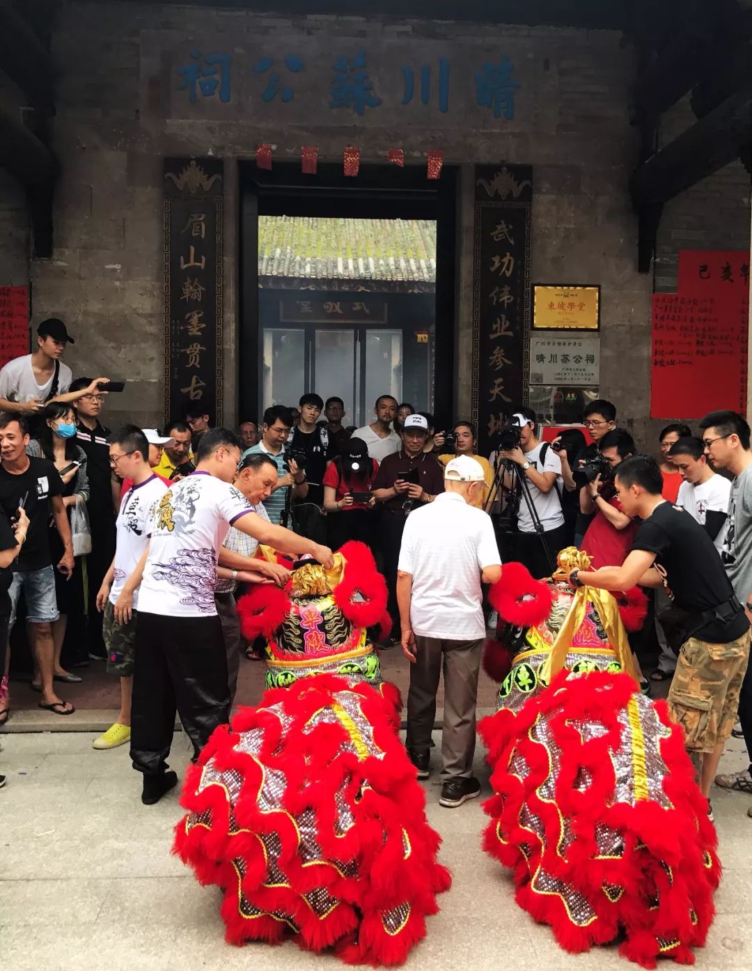 晴川苏公祠龙船采青东坡三代首现晴川祠