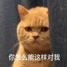 cd34cd3af11445d3ab86d2f3b61a4201.jpeg