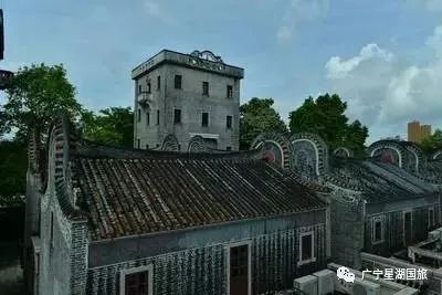 Ʒ��ɽʮ����ʳ���໨�ɴ�����(6�����ڣ�