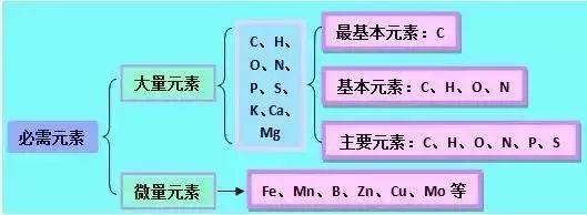 2019昆十中云天化高三5月联考各科试题及答案汇总 附知识点
                
                