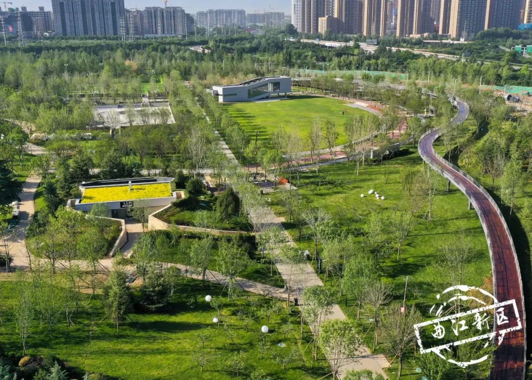 最青春的模样就在曲江青年公园