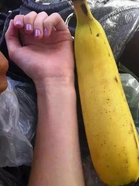 df7d9acecd014988a71d452ced61c9e3.jpeg