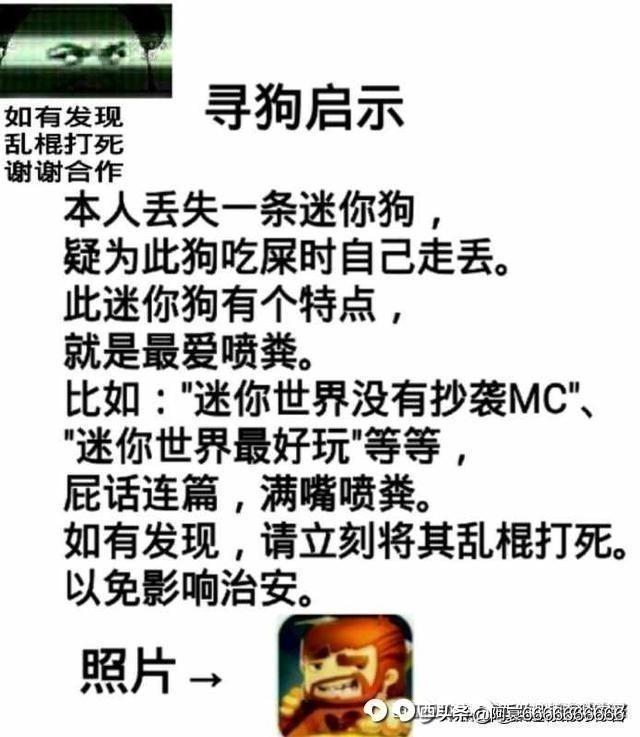 为什么mc玩家关注迷你世界抄袭的问题?这肯定有原因的