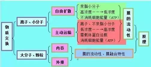 2019昆十中云天化高三5月联考各科试题及答案汇总 附知识点
                
                