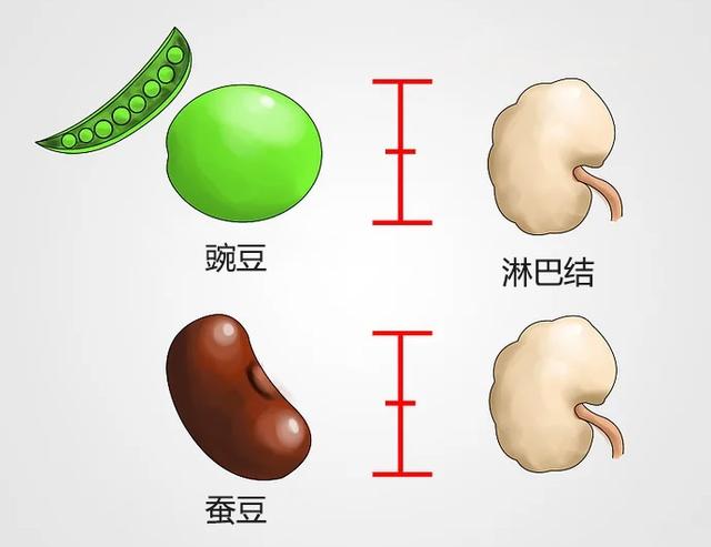 ʵ,,Լܰͽ״!