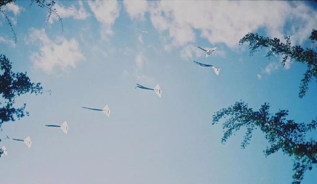 带你近距离感受真实生活瞬间