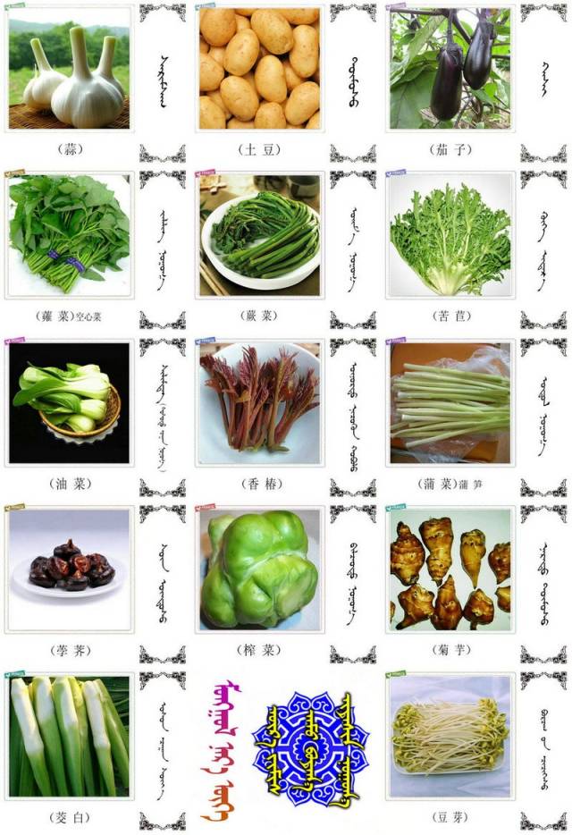 蔬菜.粮食.食材的名称81种(蒙古文 汉语