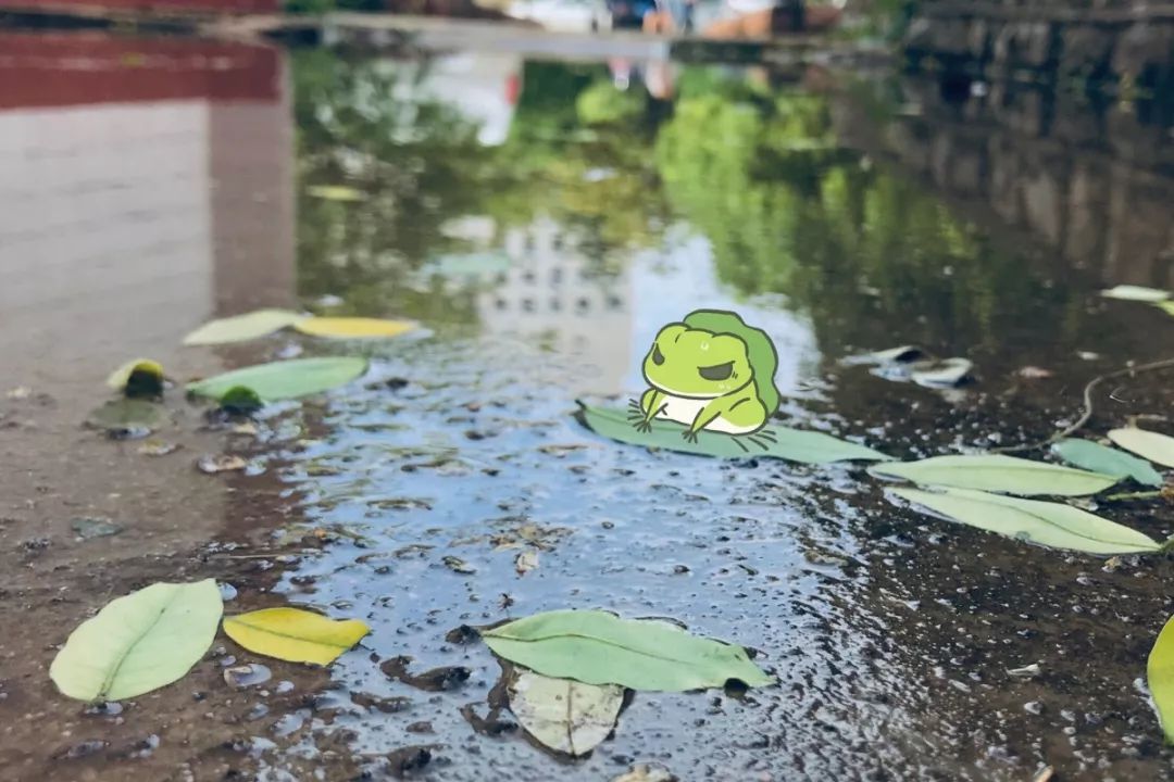 但是这凉爽的天气