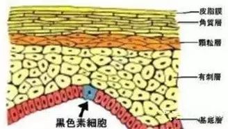 白癜风不是血液病,却为什么要验血?