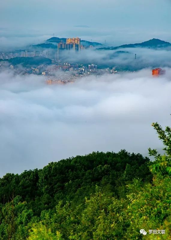 大美罗田 王珂摄影:凤山新雨后