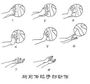 篮球最重要的基础之一,如果你是初学者就不要犹豫了!