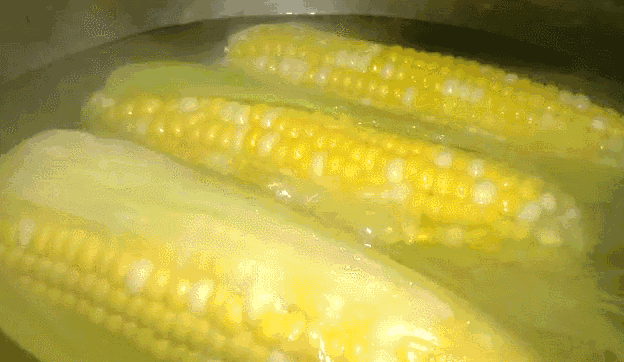 0a67194168254e3fa66c568b717699c3.gif