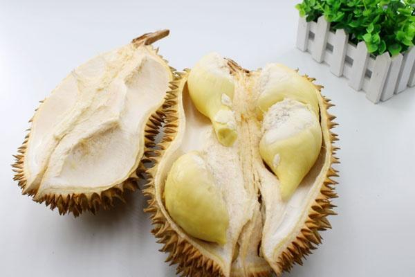 榴蓮排名_榴蓮品種排名圖片大全