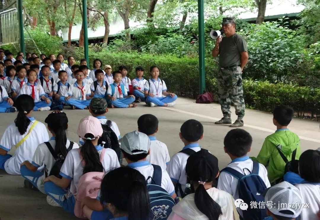 台山市广海镇中心小学参加2019未成年人社会实践活动