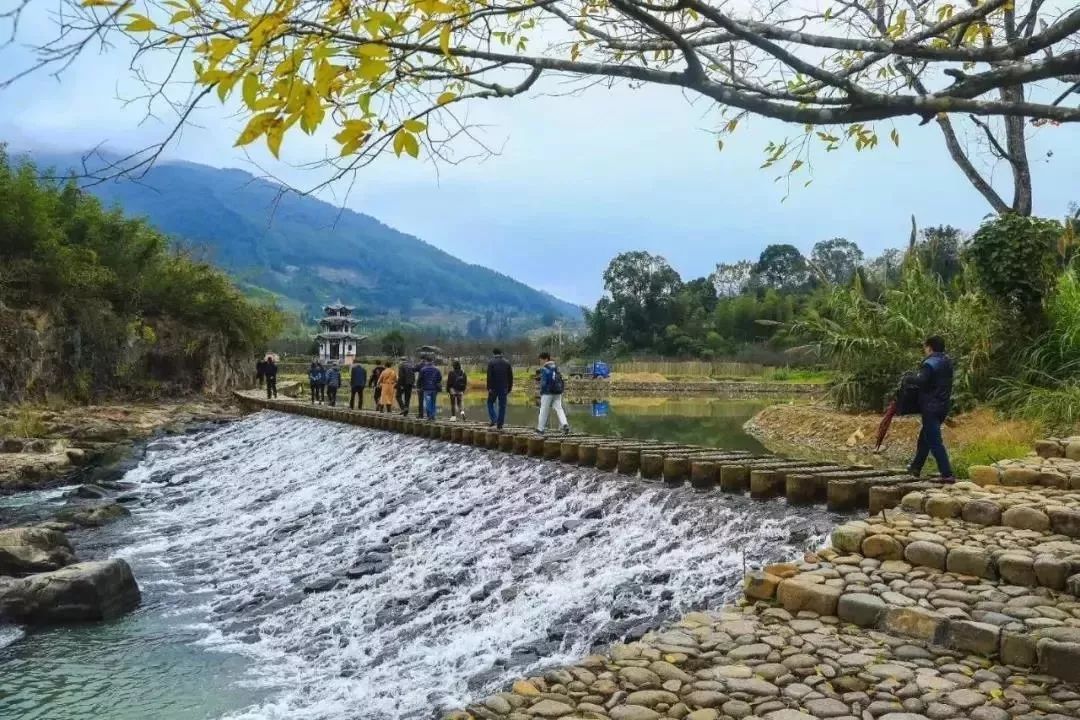 永泰月洲村再夺"金牌"!