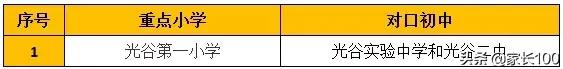 大起底！武漢33所重點小學排名優(yōu)勢對比，各區(qū)口碑最好的竟是...(圖37)