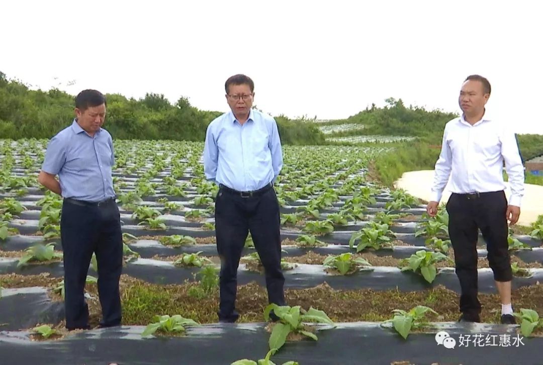 县委书记万庆华,县人大常委会主任王正祥,县委常委,县委办主任刘惠江