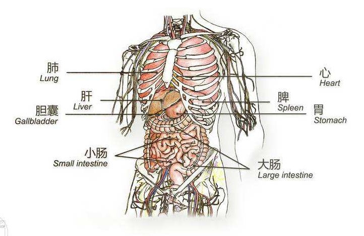 成语大什么肝什么_成语故事图片(3)