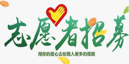 应急救援力量的壮丽史诗:北京市应急救援队伍的力量
