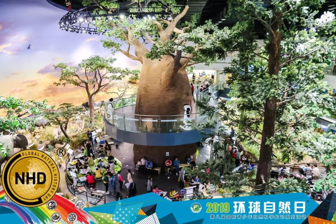 2019环球自然日山东赛区青岛决赛在青岛贝林自然博物